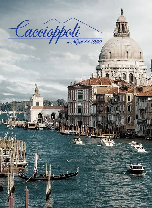 Caccioppoli Sun Dream Folli Gray Wool Silk Jacket